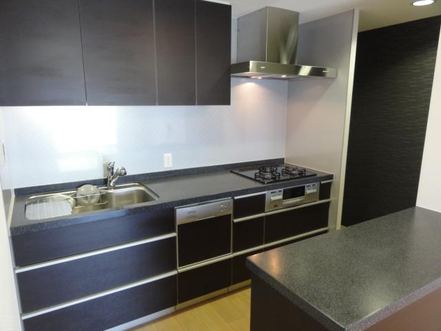 Same specifications photo (kitchen). Same specification (same apartment another room photo)