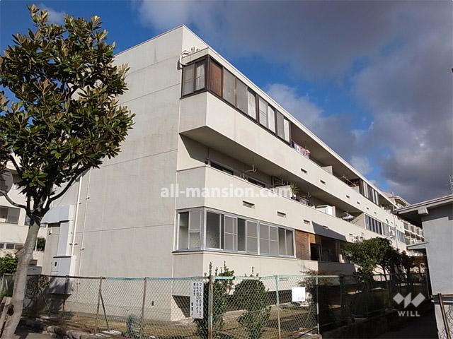 Local appearance photo. Nishi Ojima house south tower of appearance (from the southwest side)