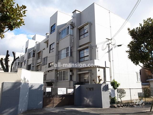 Local appearance photo. Nishi Ojima house south tower of appearance (from the northwest side)