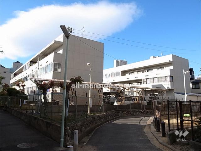 Other. Nishi Ojima house of panoramic view (from the southeast side). It consists of two buildings of the south tower and the north tower.