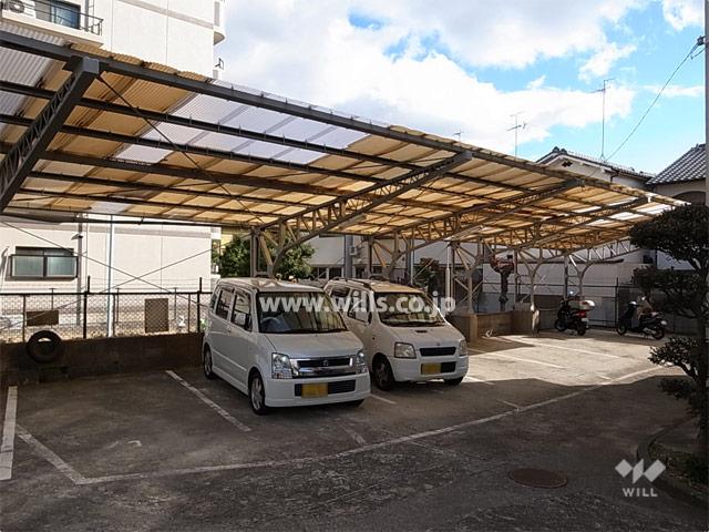 Parking lot. On-site parking (with roof Plane type)