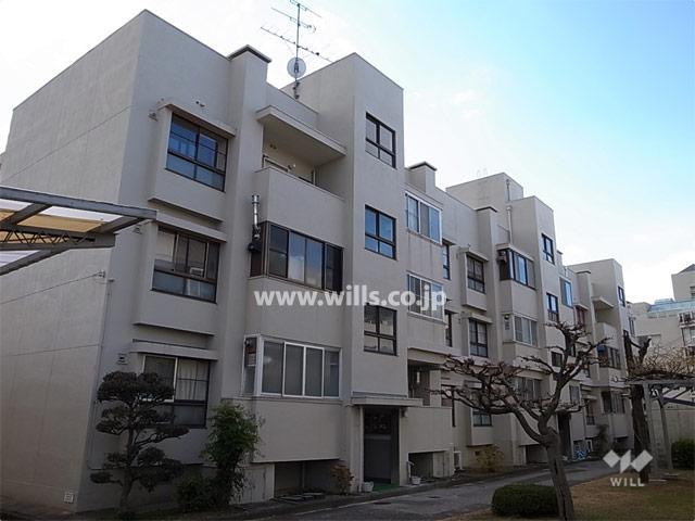 Local appearance photo. Nishi Ojima house south tower of appearance (from the northeast side)