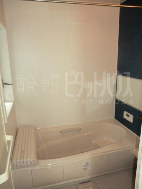 Bathroom. bath