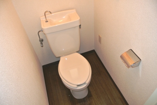 Toilet. Bright toilet of white keynote