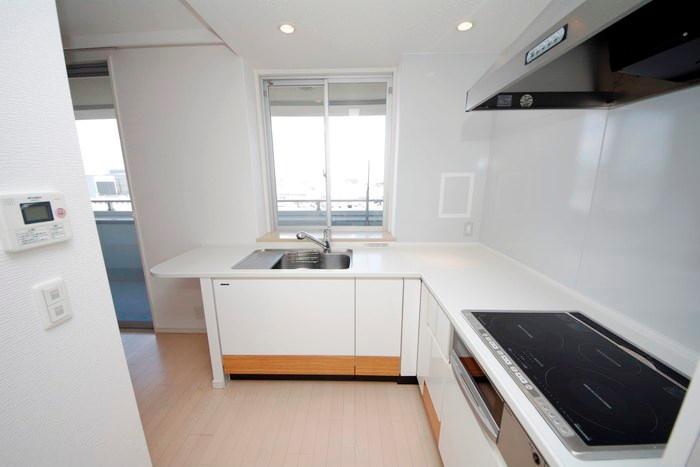 Kitchen. Good use without permission, L-shaped kitchen, Bright kitchen light is plugged!