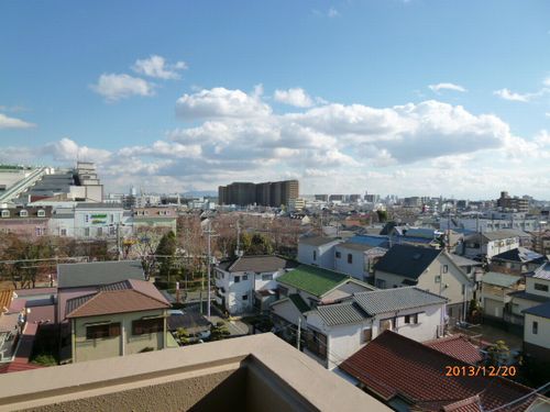 View. The view from the veranda