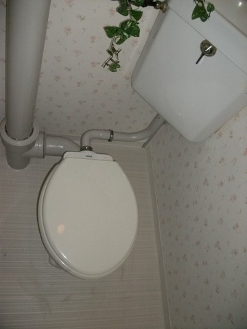 Toilet. Toilet