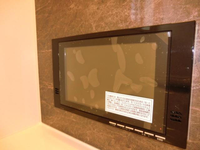 Other. Local photo (bathroom TV)