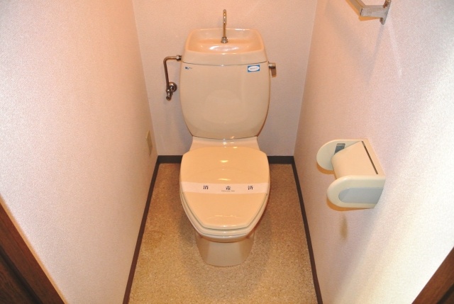 Toilet. Full of clean clean toilet