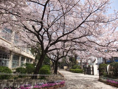 Junior high school. 918m until the Amagasaki Municipal Sonoda junior high school