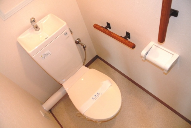 Toilet. Toilet of peace of mind with a handrail.