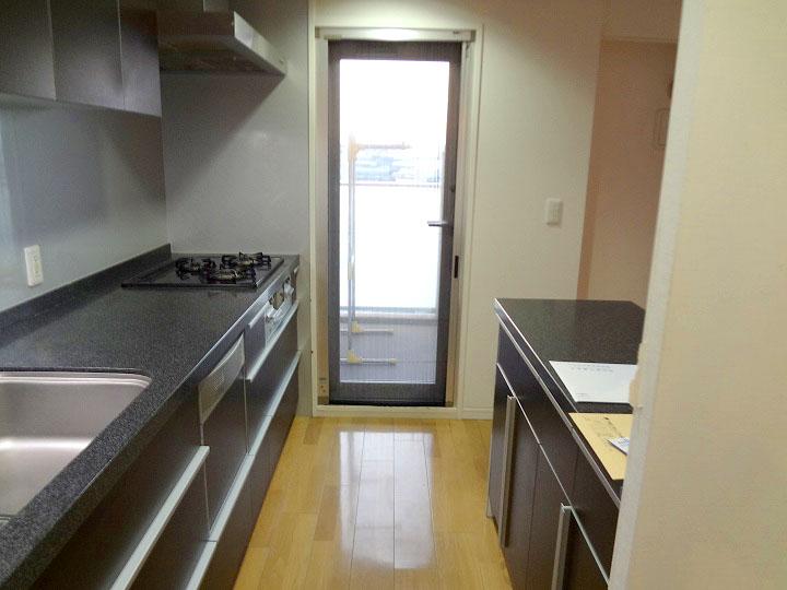Kitchen. The kitchen is next to there is a back door, Can you use it as a service balcony.