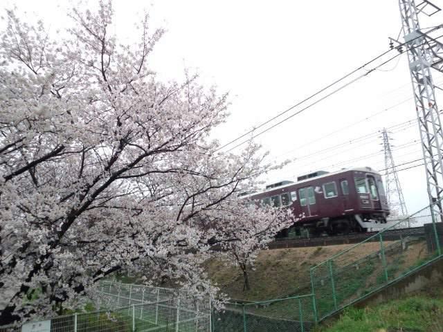 park. Old Inagawa to green space 1506m