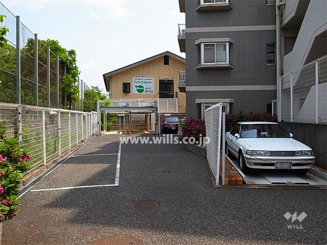 Parking lot. On-site parking (there is a plane type and a mechanical. )