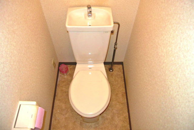 Toilet. Simple and clean simple