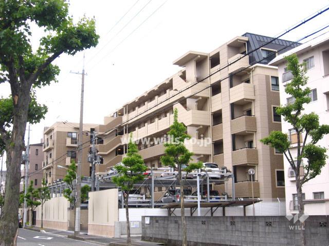 Local appearance photo. Wakore terrace Mukonoso of appearance (from the northwest)