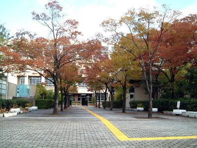 kindergarten ・ Nursery. Muko 551m to the east, nursery