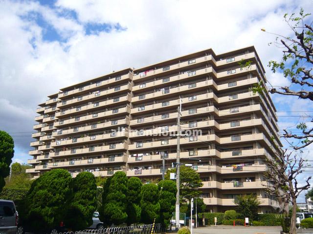 Local appearance photo. appearance