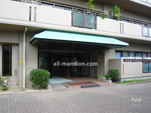Entrance. Common areas