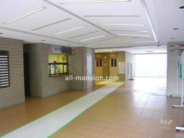 Entrance. Entrance hall