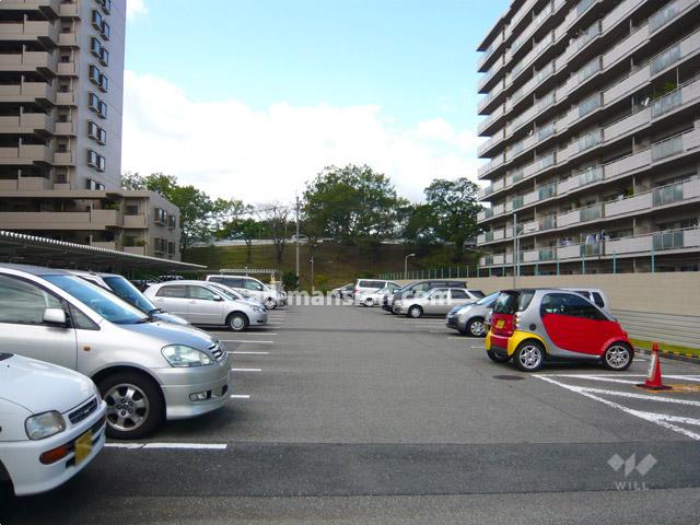 Parking lot. Common areas