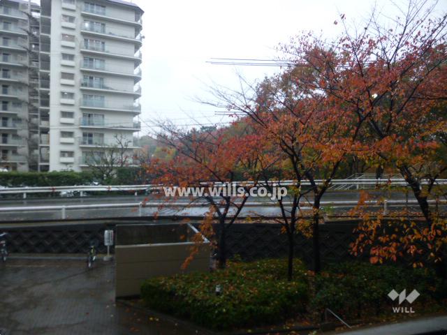 View photos from the dwelling unit. The view from the balcony (south direction)