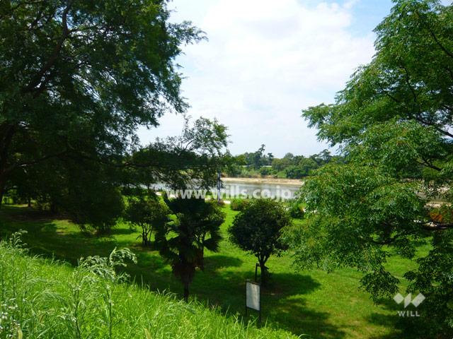 Other local. To the west of the site, Mukogawa and flow, Riverbed is lush, Park has been developed.