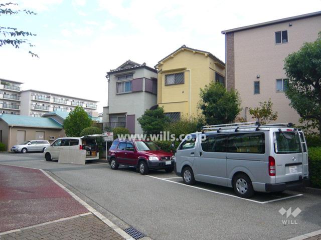 Parking lot. Parking for visitors
