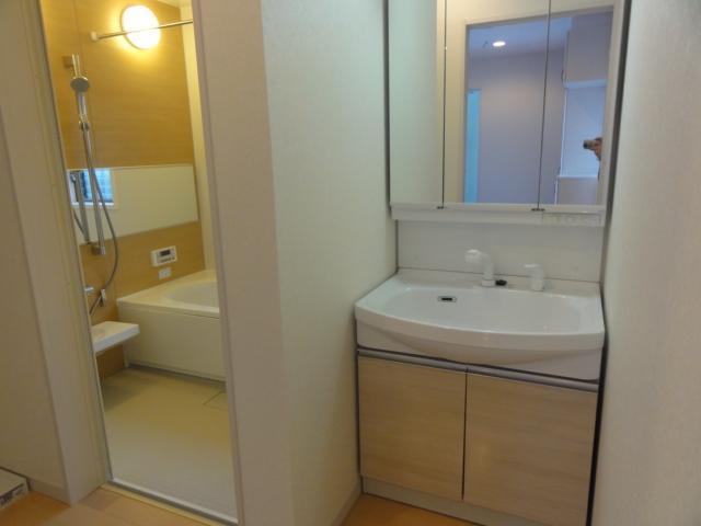 Wash basin, toilet. Three-sided mirror vanity with shower