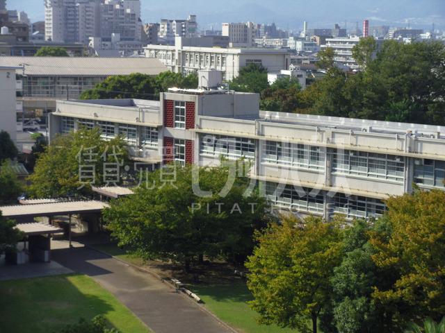 Junior high school. 1236m until the Amagasaki Municipal Wakakusa junior high school