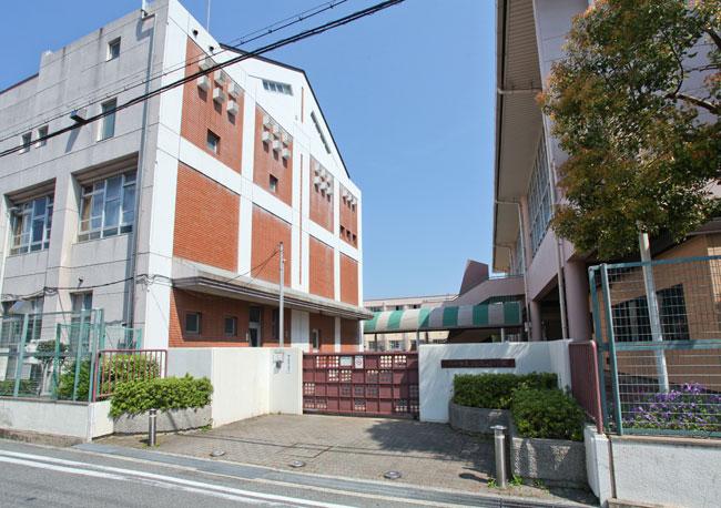 Primary school. Municipal Takeya until elementary school 530m