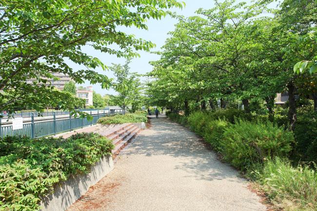 Other Environmental Photo. Yomogawa to green space 80m