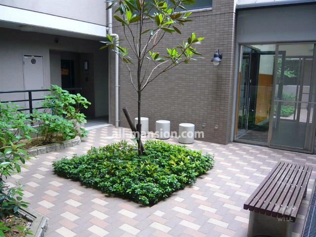 Other common areas. courtyard