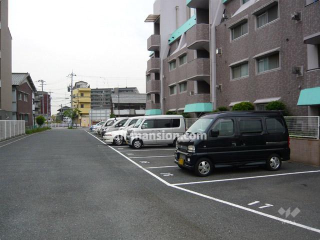 Parking lot. Plane parking