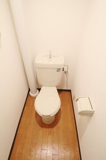 Toilet. Toilet with a comfortable size