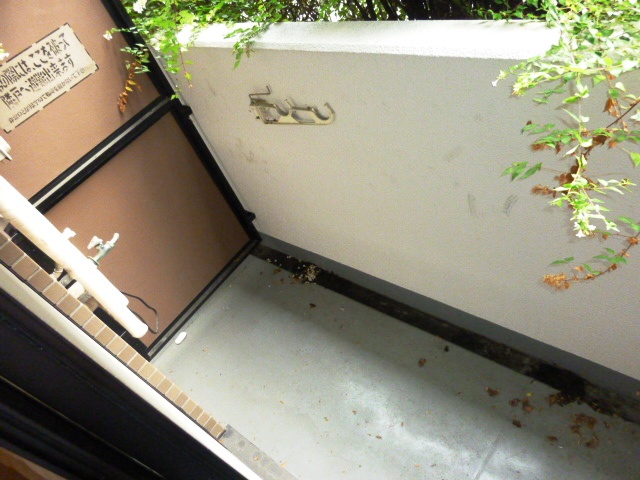 Balcony. Is the type that there is a depth