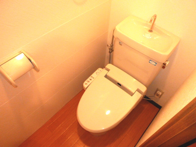 Toilet. I am happy with bidet