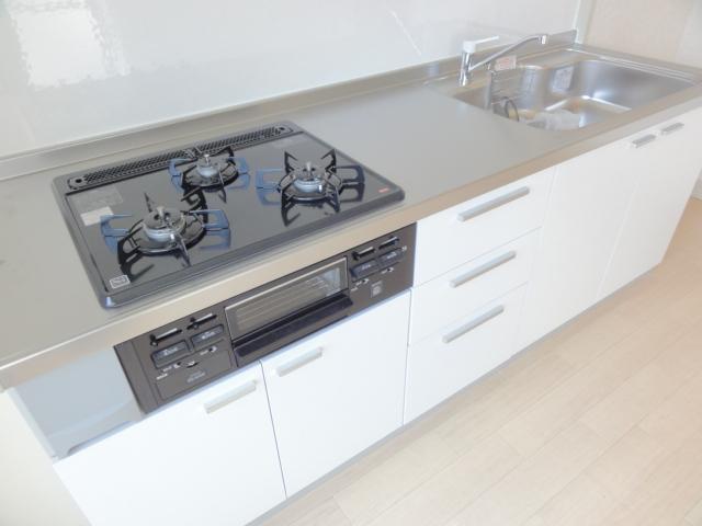 Kitchen. Indoor (10 May 2013) Shooting