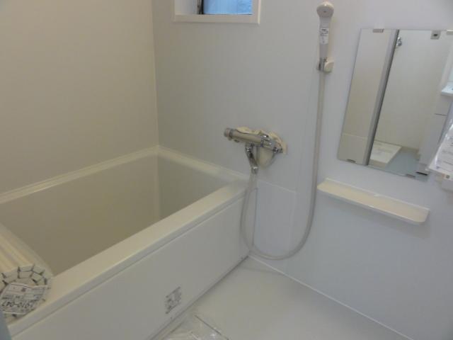 Bathroom. Indoor (10 May 2013) Shooting