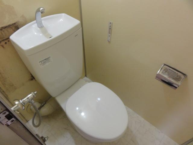 Toilet. Indoor (10 May 2013) Shooting
