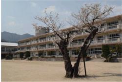 Primary school. Finance up to elementary school (elementary school) 575m
