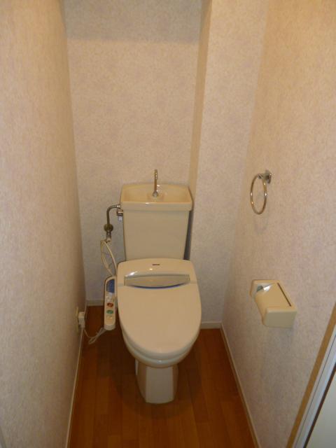 Toilet. It has a spacious there is a depth
