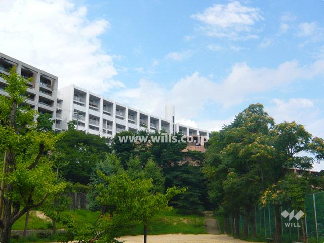 Local appearance photo. Green is a rich residential area.