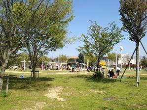 While feeling rich natural familiar, The green of the fields Hashirimawareru vigorously nearby! (Ashiya comprehensive park / About 710m)