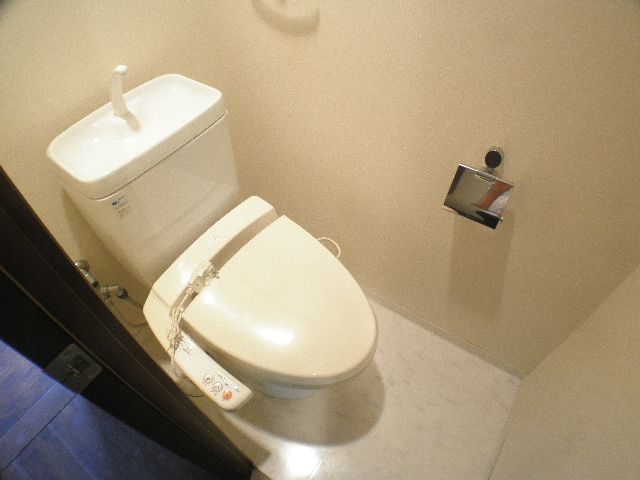 Toilet. Of course, also comes with a bidet