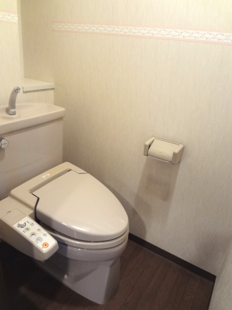 Toilet. With hot water heating toilet seat (lender performance compensation less)