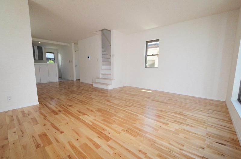 Living. Indoor (June 2013) Shooting