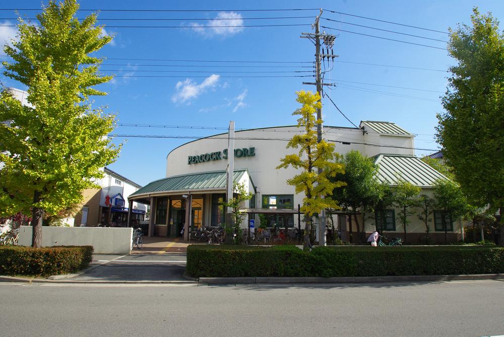 Supermarket. 400m until Peacock store Ashiya Nangu shop