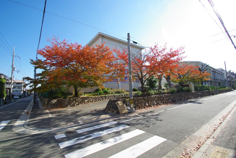 Junior high school. Ashiya City Museum of Seido 400m up to junior high school