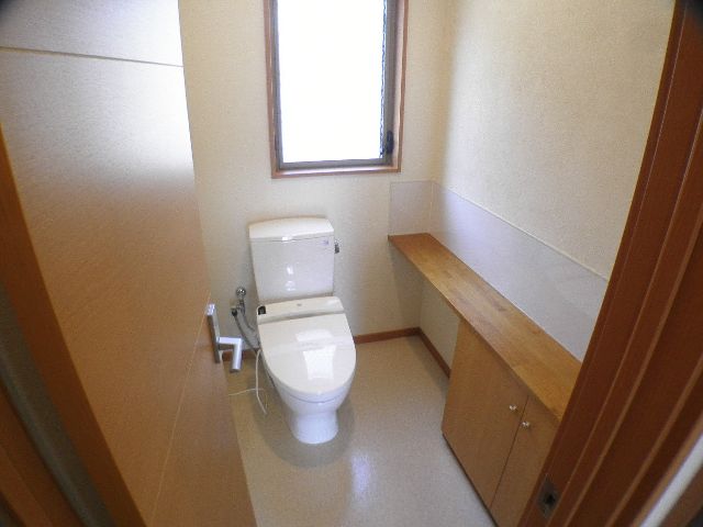 Toilet. Toilet with a stylish shelf